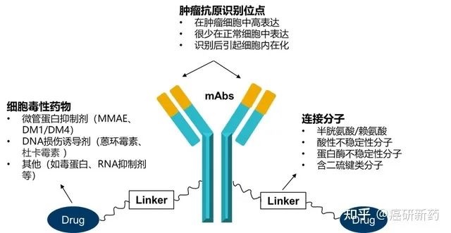 全国94家医院招募乳腺癌患者@复旦大学附属肿瘤医院